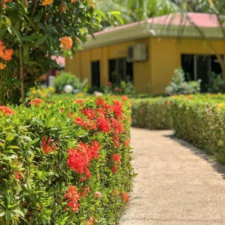 Hotel Isolina Beach Potrero  Exterior photo